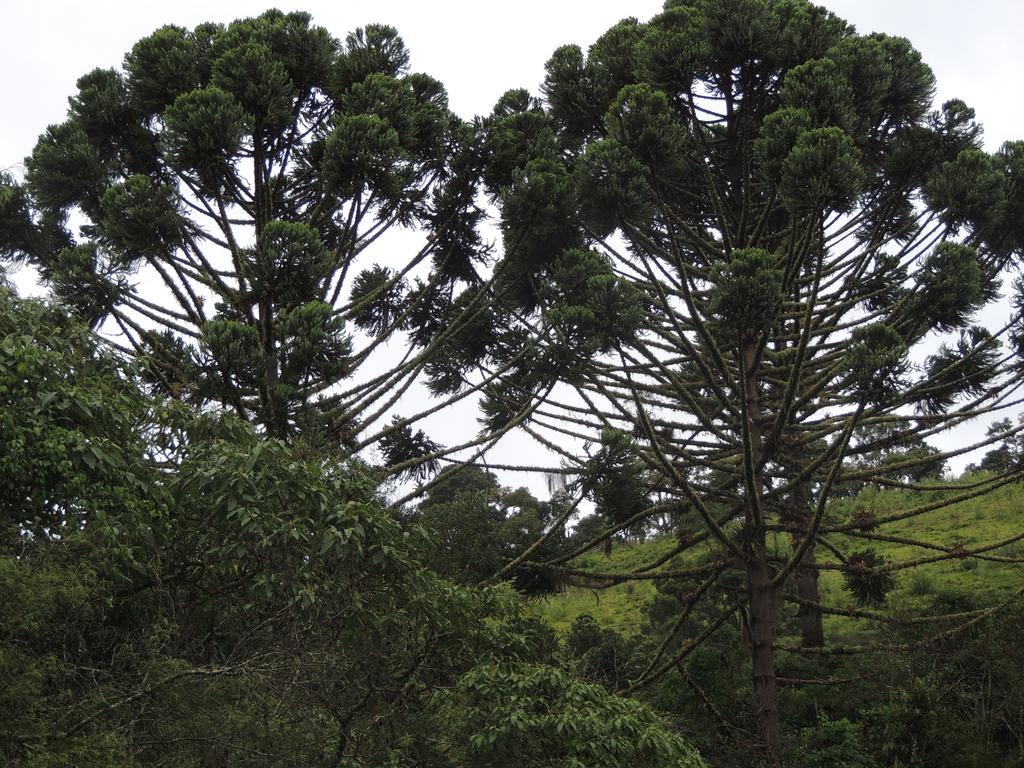 Villa To Na Roca Cunha Esterno foto