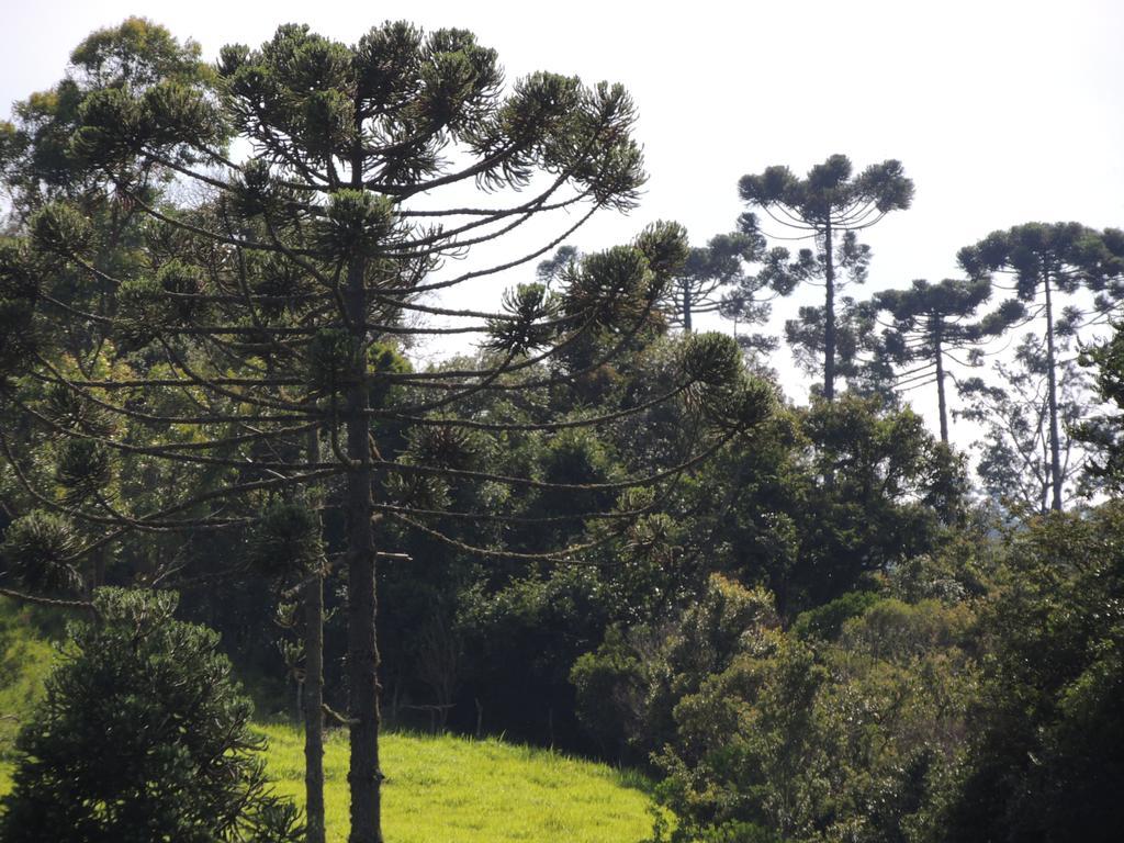 Villa To Na Roca Cunha Esterno foto